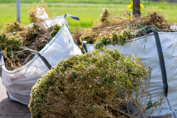 Best Moving and Downsizing Cleanouts  in Waawa, HI